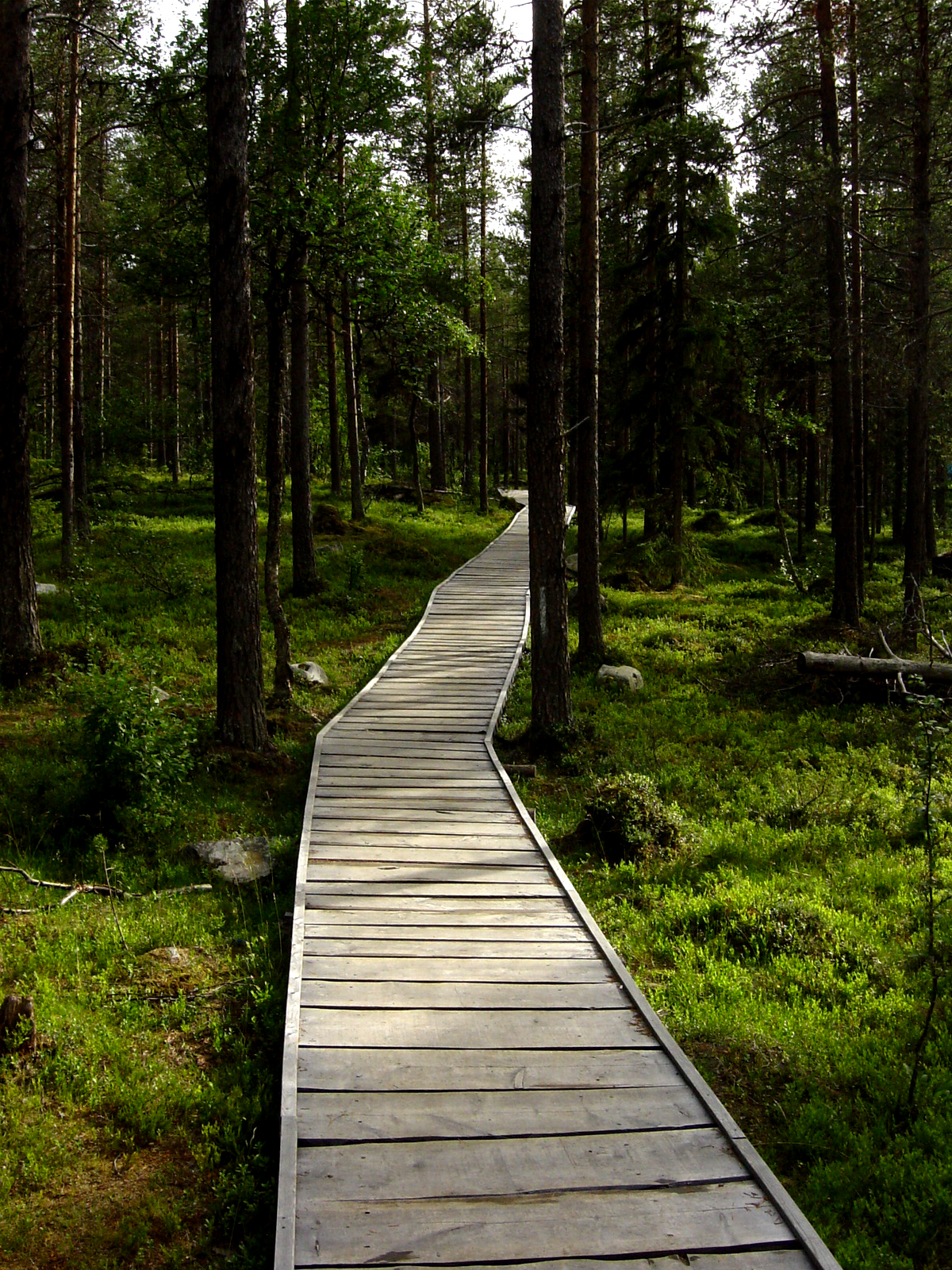 Aktiviteter_Vandring_2_TOR-Meteoritnedslaget