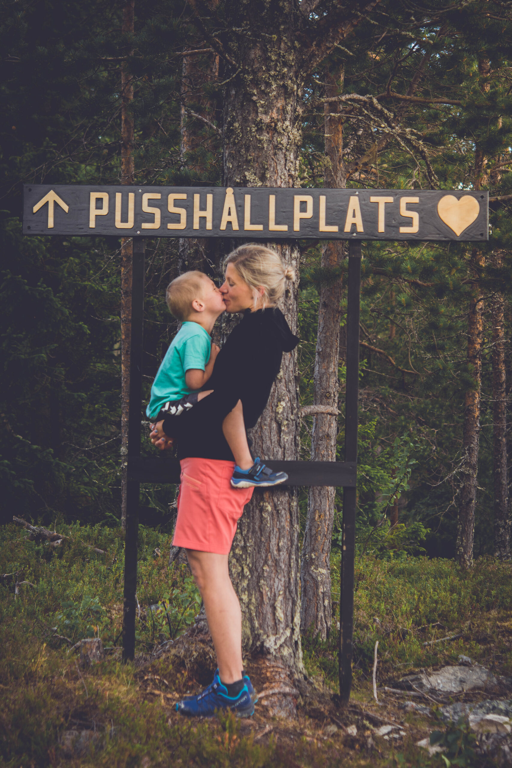 Skidlift Tännäskröket