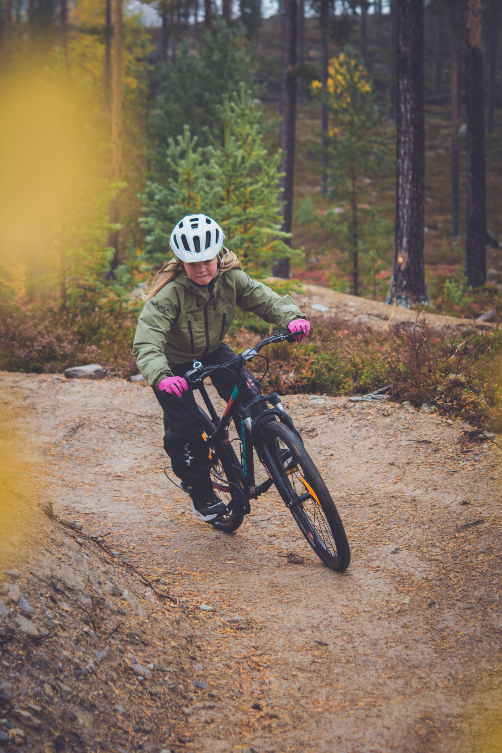 cycling on the flow trail in Tännäs