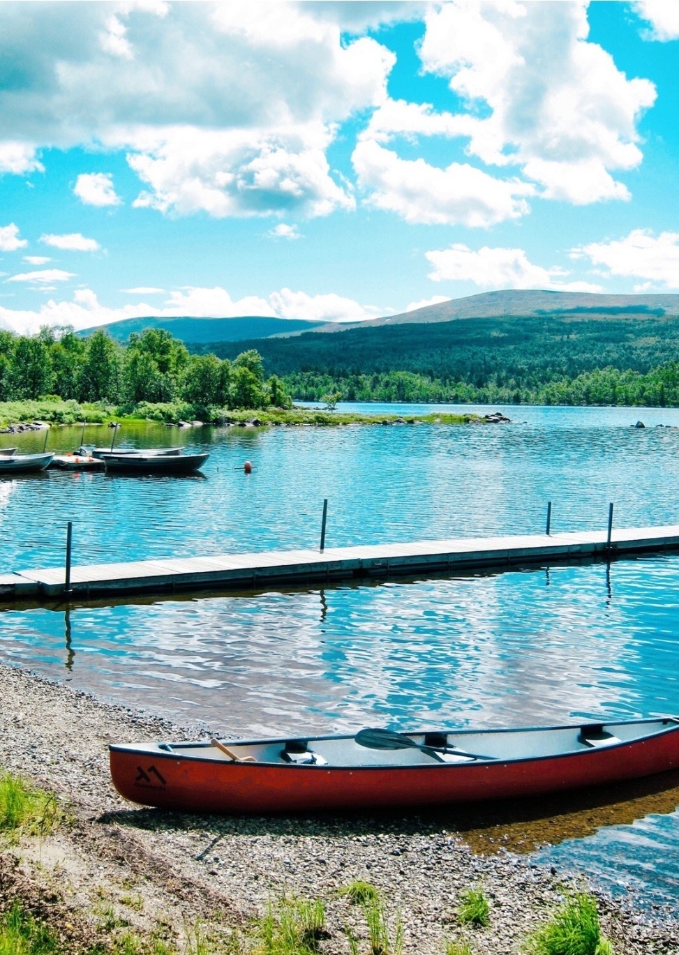 Bearbeitet mit MOLDIV