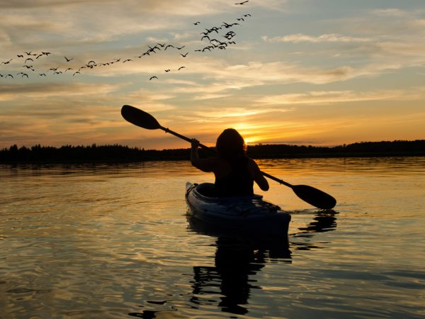 summer-canoeing